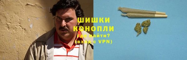 гидра Армянск