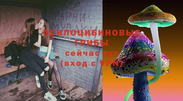 гидра Армянск