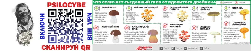 kraken зеркало где продают Урай Галлюциногенные грибы прущие грибы
