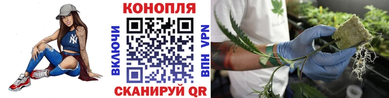 как найти наркотики  Урай  Канабис SATIVA & INDICA 